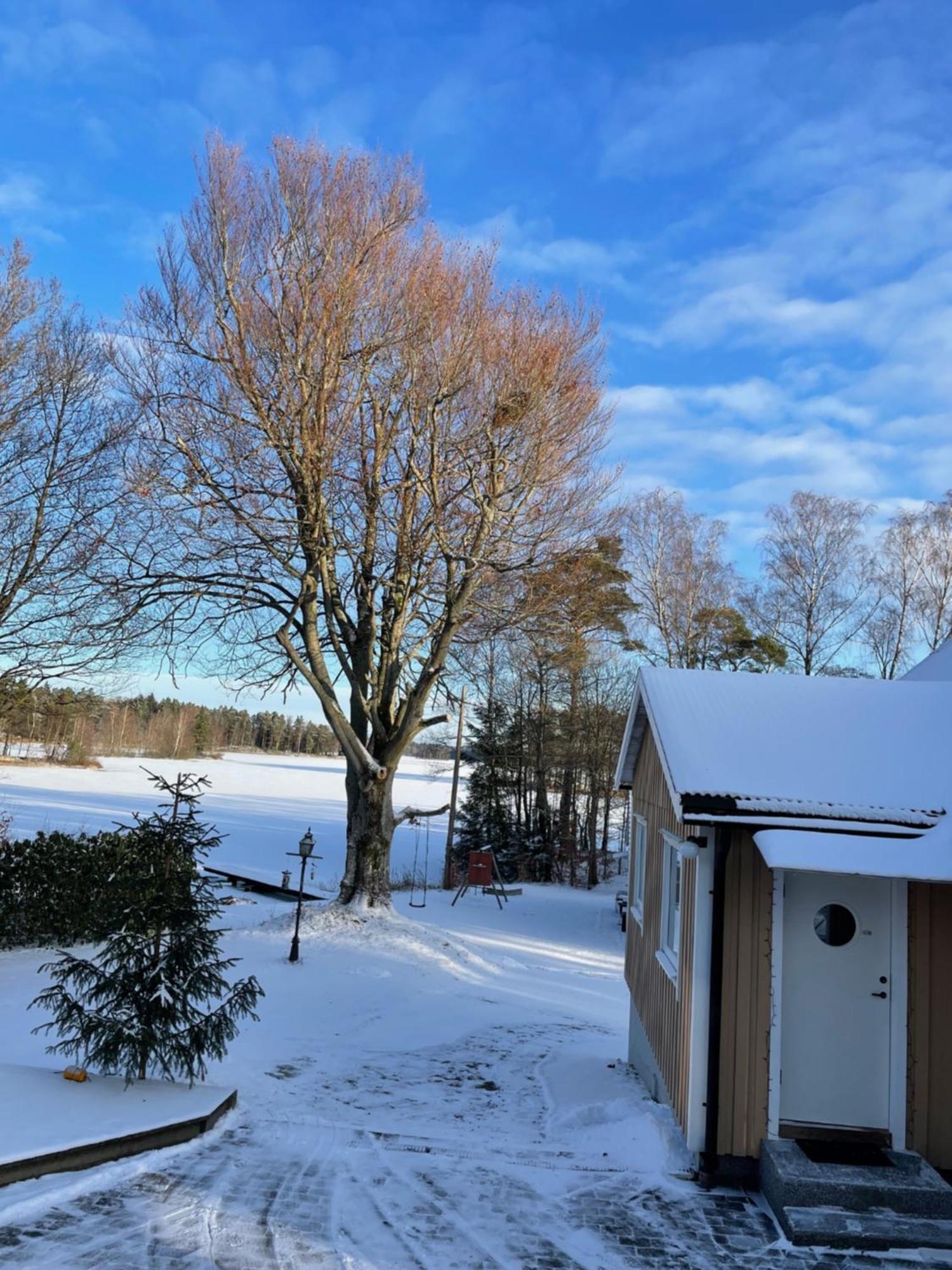Naturskoent Boende Vid Sjoe Skanes Fagerhult Bagian luar foto